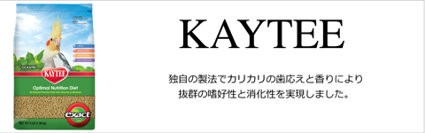 ケイティティ