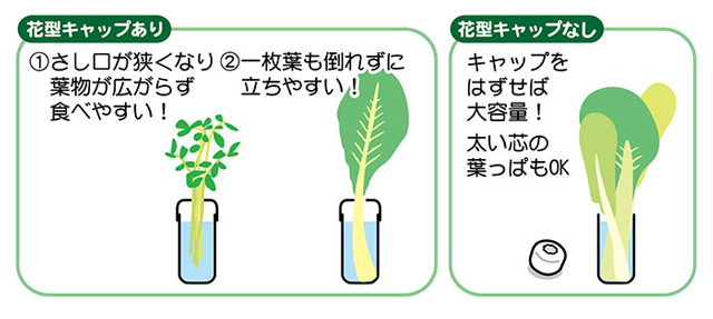 小鳥のベジタブルポッド