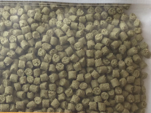 シード食専用フード