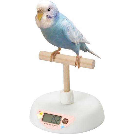 小鳥の体重計